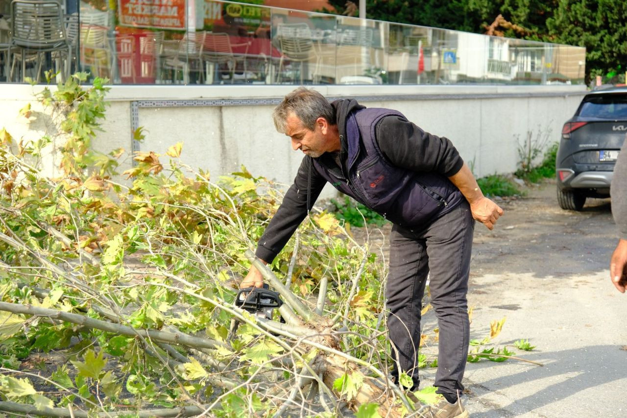 Safrancık Sokak'ta Kapsamlı Yeşil Alan Düzenlemesi - Sayfa 2