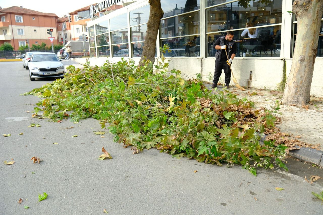 Safrancık Sokak'ta Kapsamlı Yeşil Alan Düzenlemesi - Sayfa 4