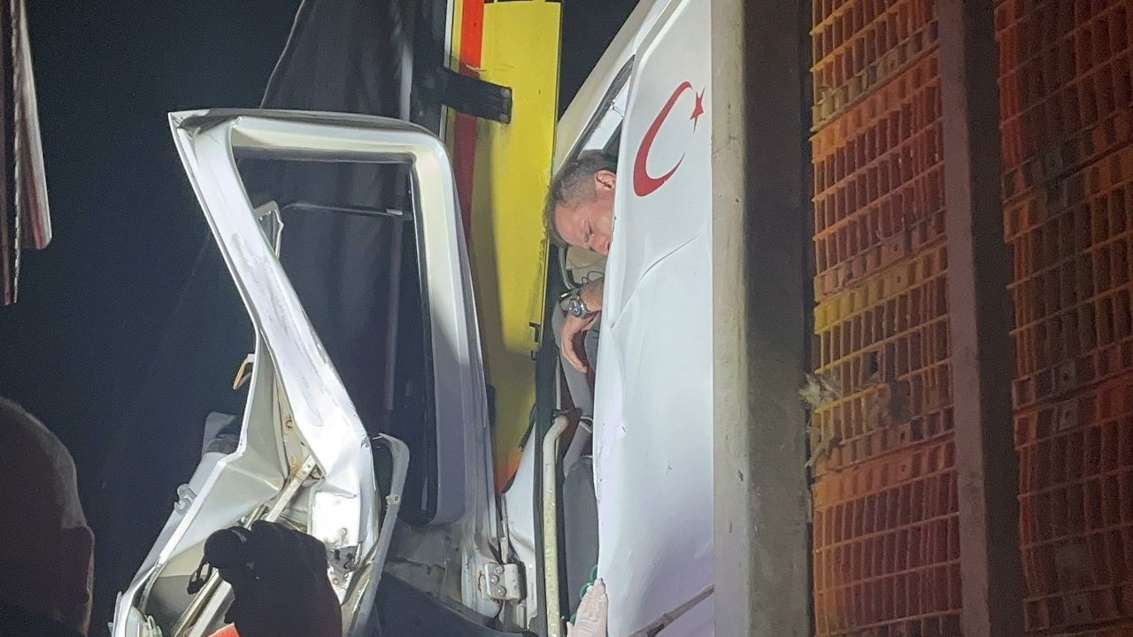 Pamukova'da Canlı Tavuk Yüklü Tır Kazası - Sayfa 2