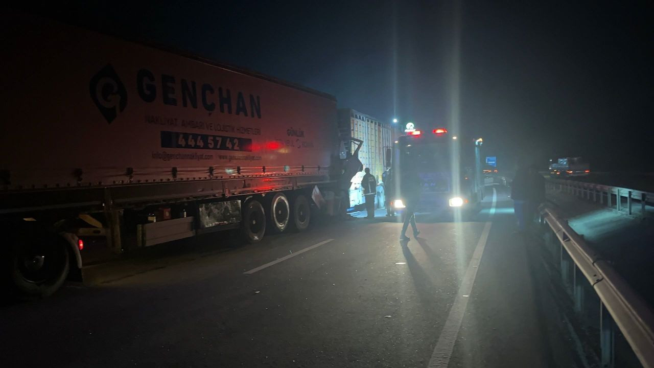 Pamukova'da Canlı Tavuk Yüklü Tır Kazası - Sayfa 4