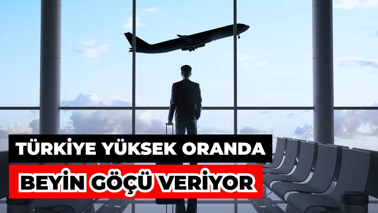 TÜİK Verileri: En Çok Beyin Göçü Mühendislik ve Genetikte