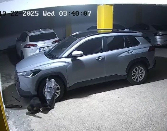 Köpekler Kediyi Kovalarken Park Halindeki SUV Aracı Parçaladı! - Sayfa 2