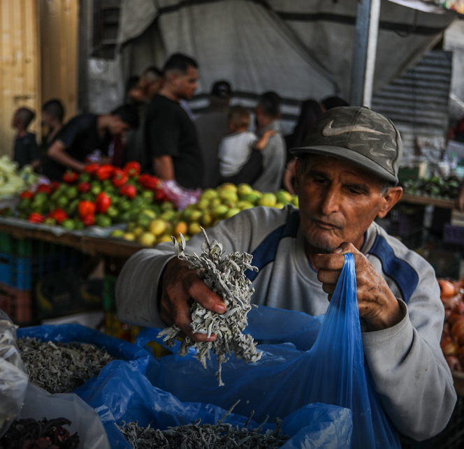 İsrail’in Çekilmesinin Ardından Han Yunus’ta Hayat Normale Döndü - Sayfa 1