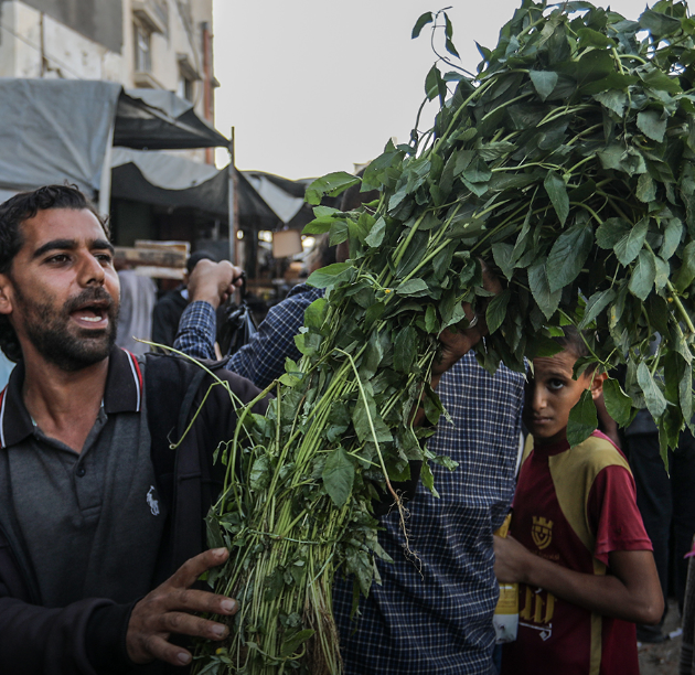 İsrail’in Çekilmesinin Ardından Han Yunus’ta Hayat Normale Döndü - Sayfa 5