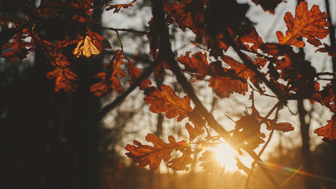 Marmara'da Önümüzdeki Hafta Hava Durumu: Yer Yer Yağmur Bekleniyor - Sayfa 3