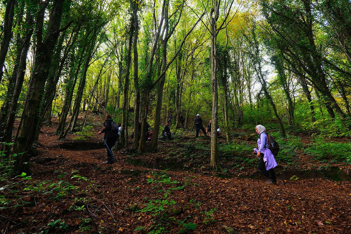 Sonbaharın Sakarya’daki En Büyüleyici Rotasına Âşık Oldular - Sayfa 1