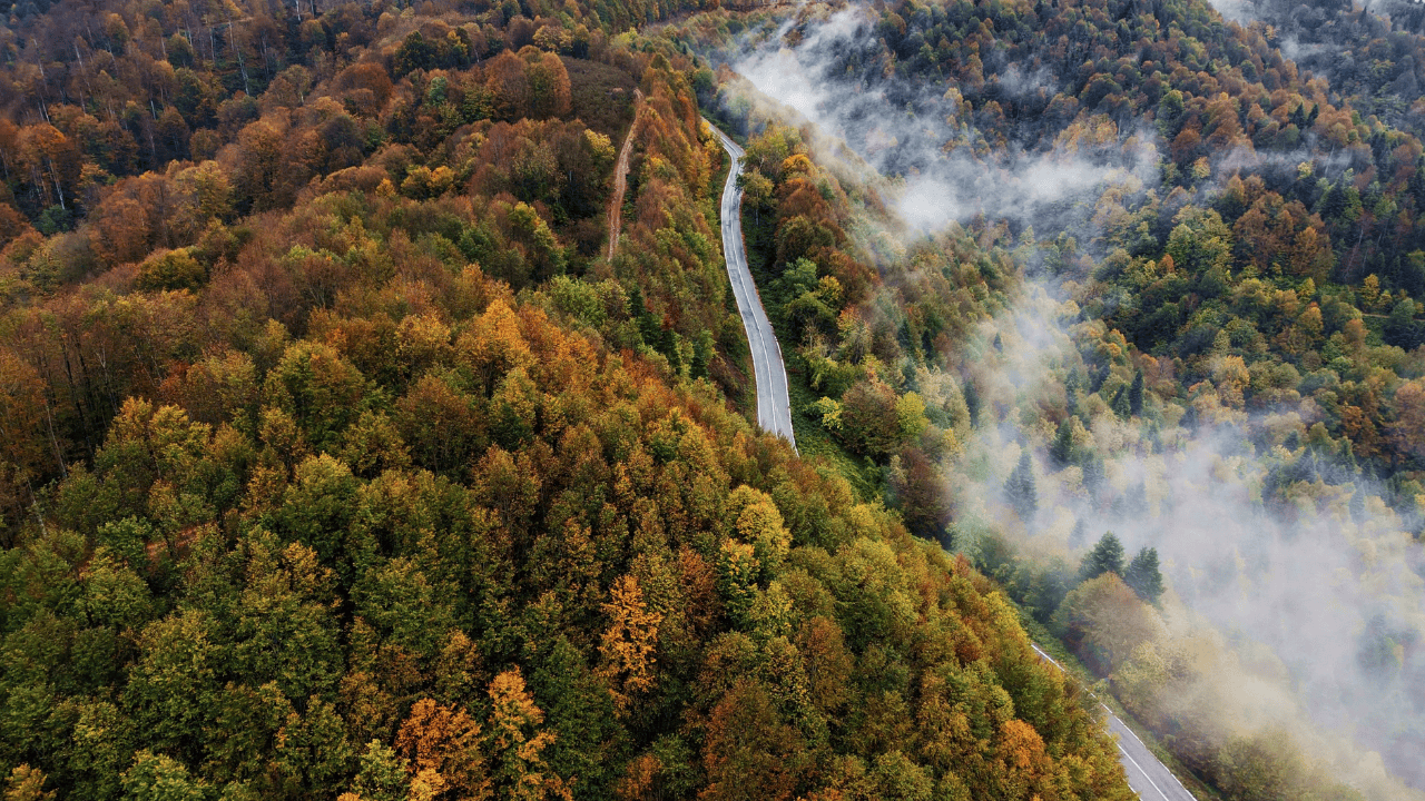 Sisler Altındaki Çam Dağı, Film Sahnesini Aratmadı - Sayfa 4