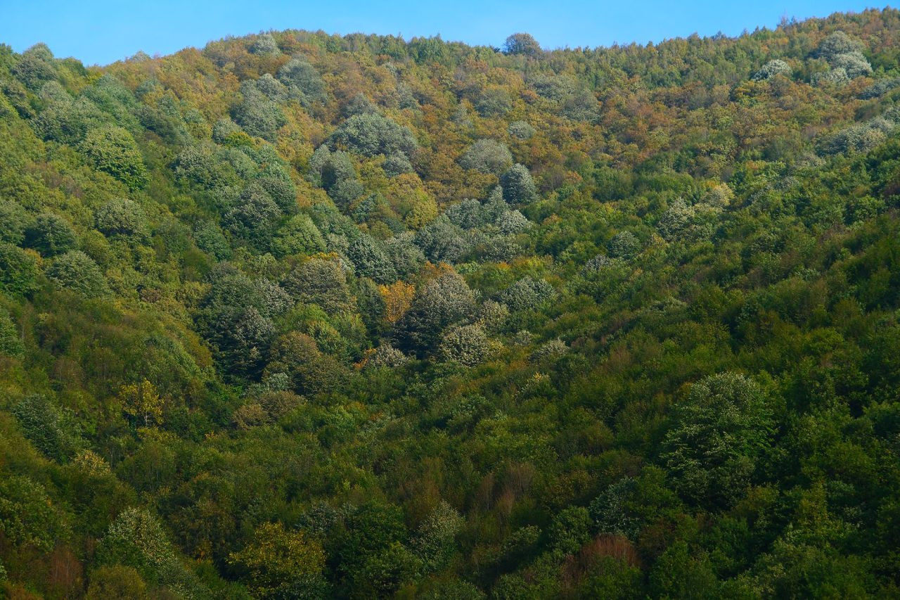 Sonbaharın Sakarya’daki En Büyüleyici Rotasına Âşık Oldular - Sayfa 2