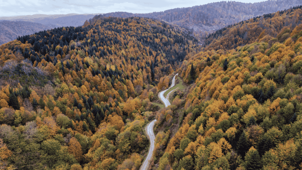 Ormanlar Kızıla Boyandı, Kartpostallık Manzaralar Havadan Görüntülendi - Sayfa 4