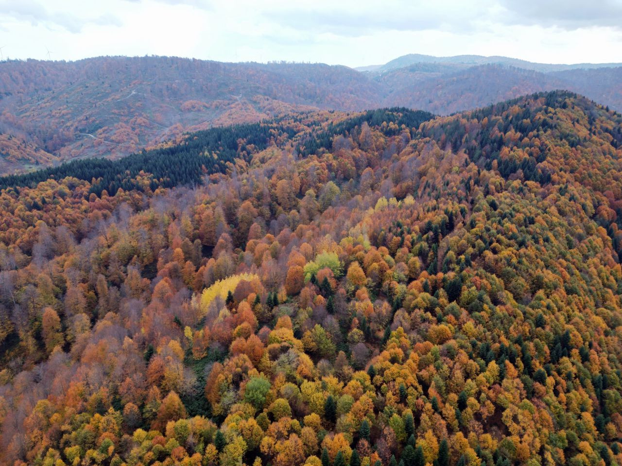 Ormanlar Kızıla Boyandı, Kartpostallık Manzaralar Havadan Görüntülendi - Sayfa 3
