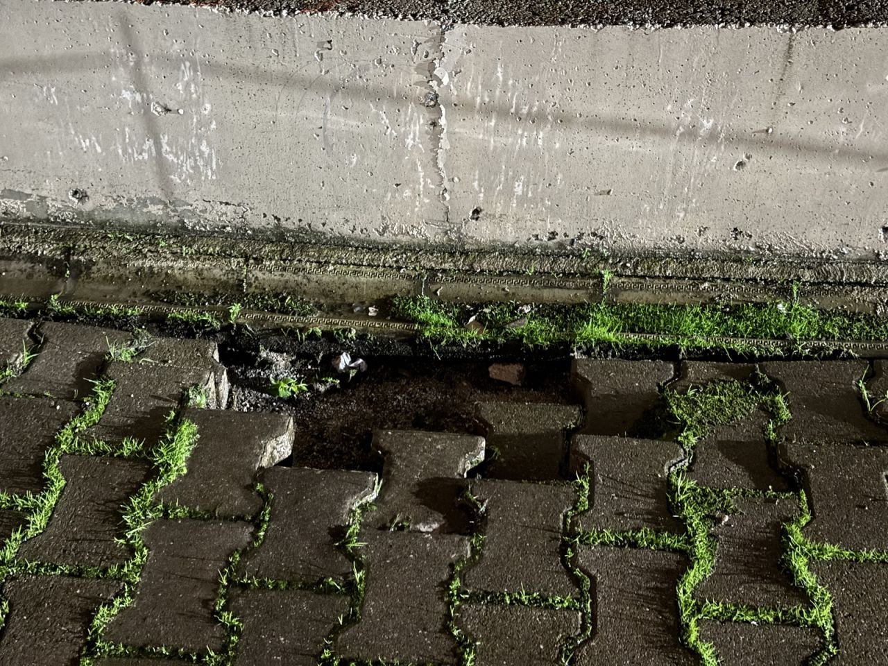 Sındırgı Depremi Sakarya'yı Harekete Geçirdi - Sayfa 3