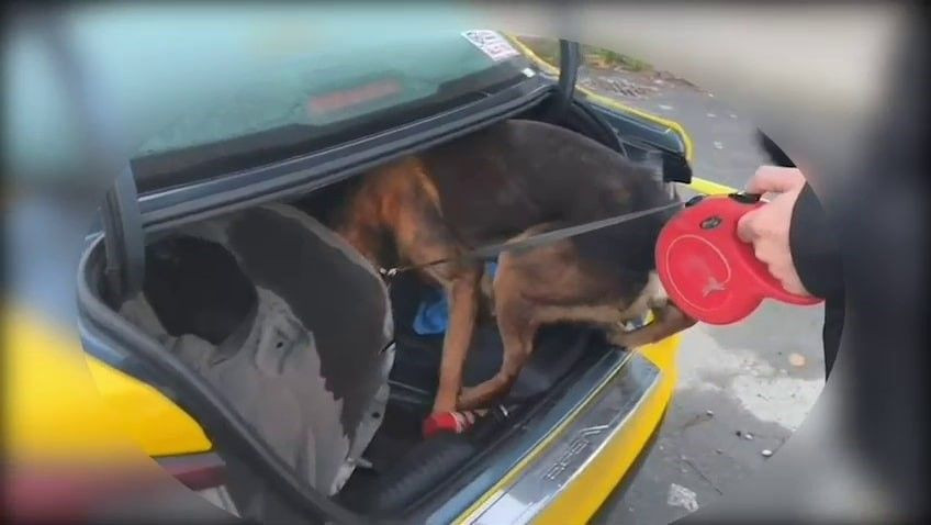 İstanbul’dan Sakarya’ya Uyuşturucu Getiren Şüpheli Tutuklandı - Sayfa 3