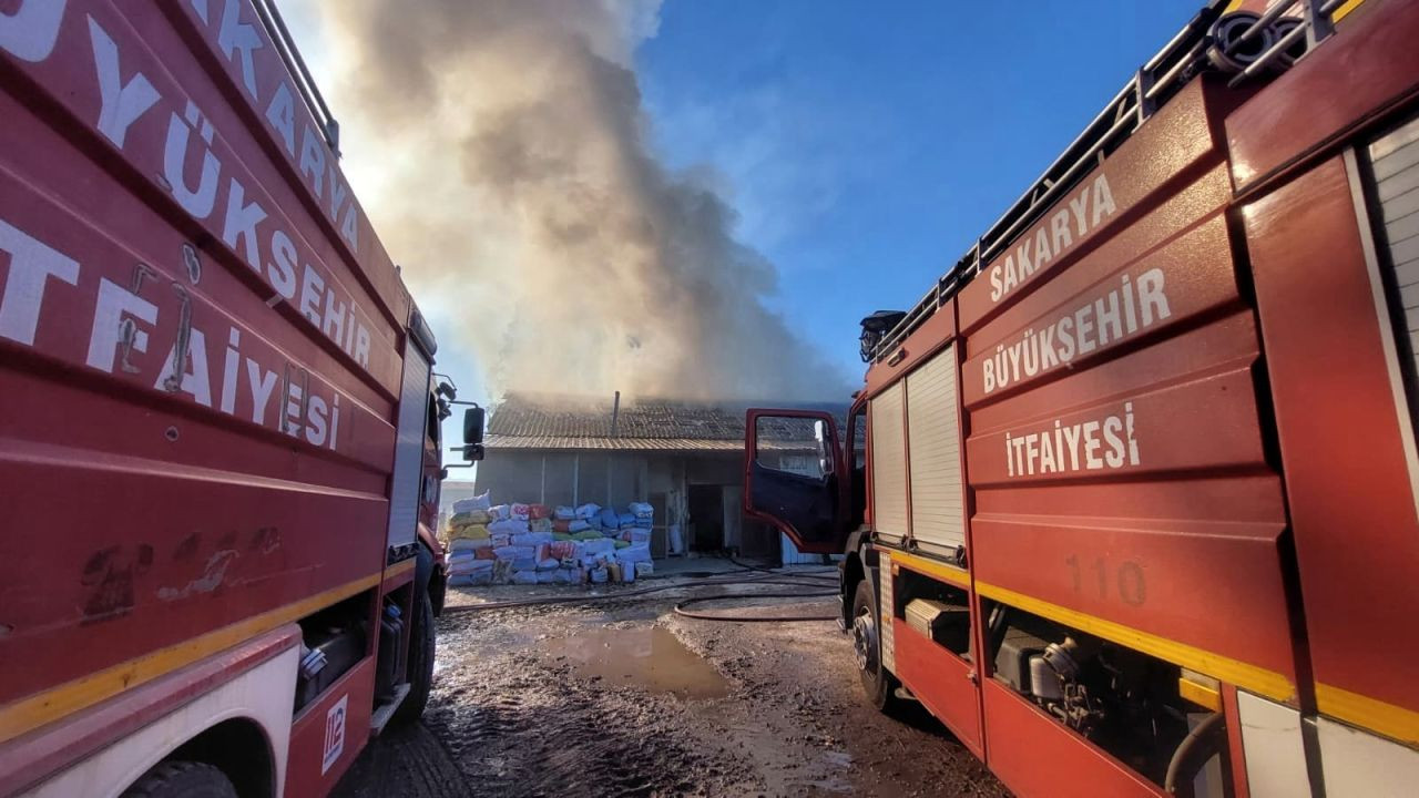 Sakarya'da Ahşap Atölyesinde Korkutan Yangın - Sayfa 2