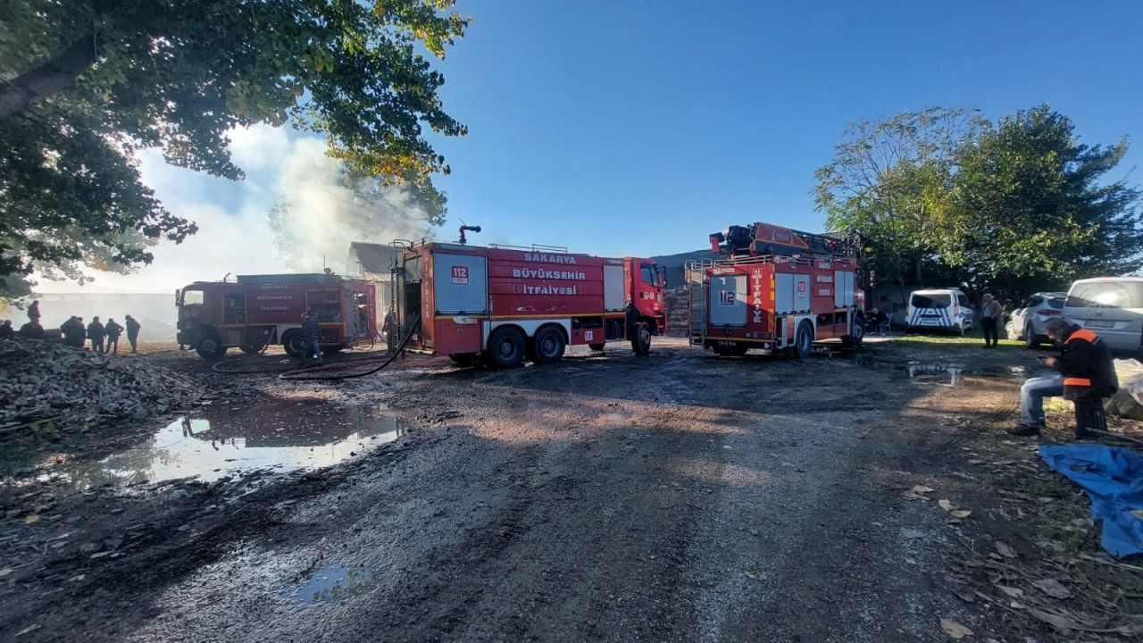 Sakarya'da Ahşap Atölyesinde Korkutan Yangın - Sayfa 1