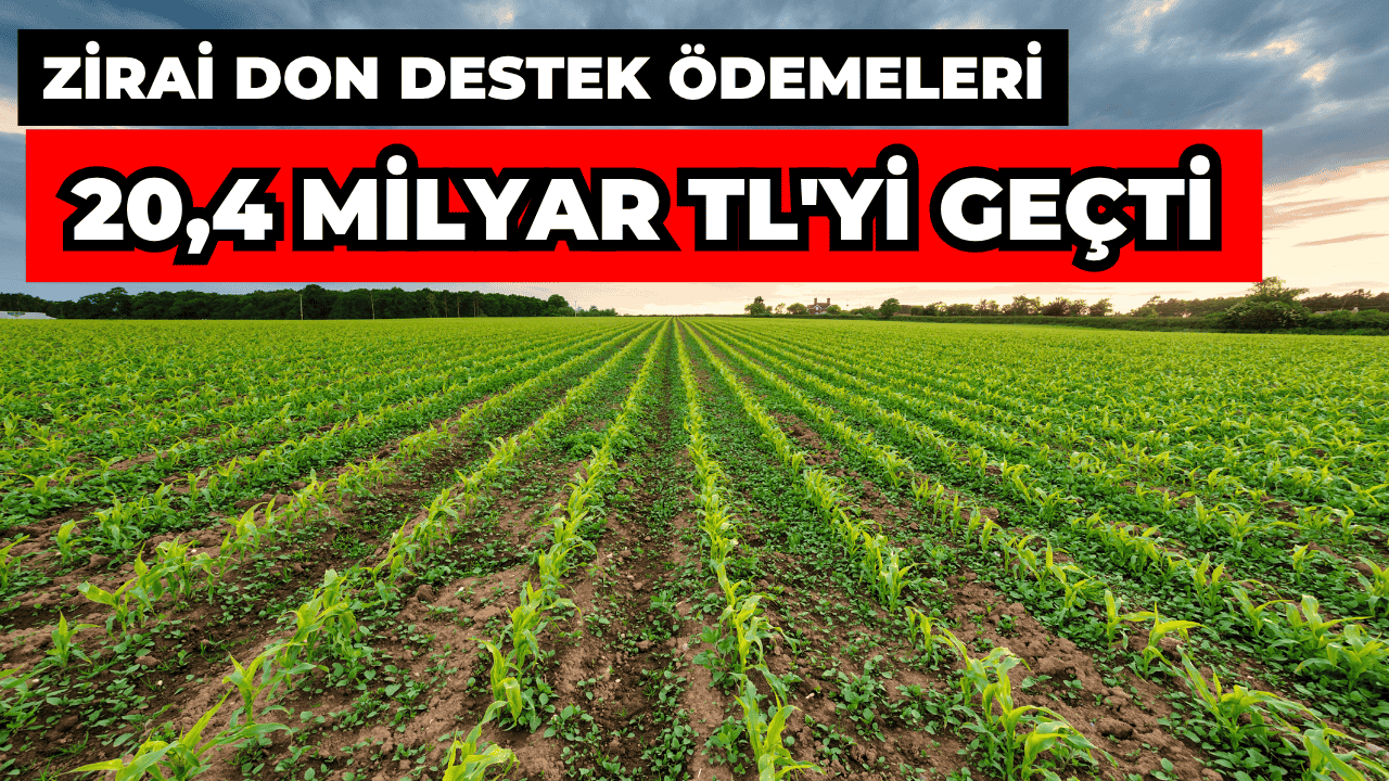 Zirai Don Destek Ödemelerinde Toplam Miktar 20,4 Milyar TL'yi Geçti