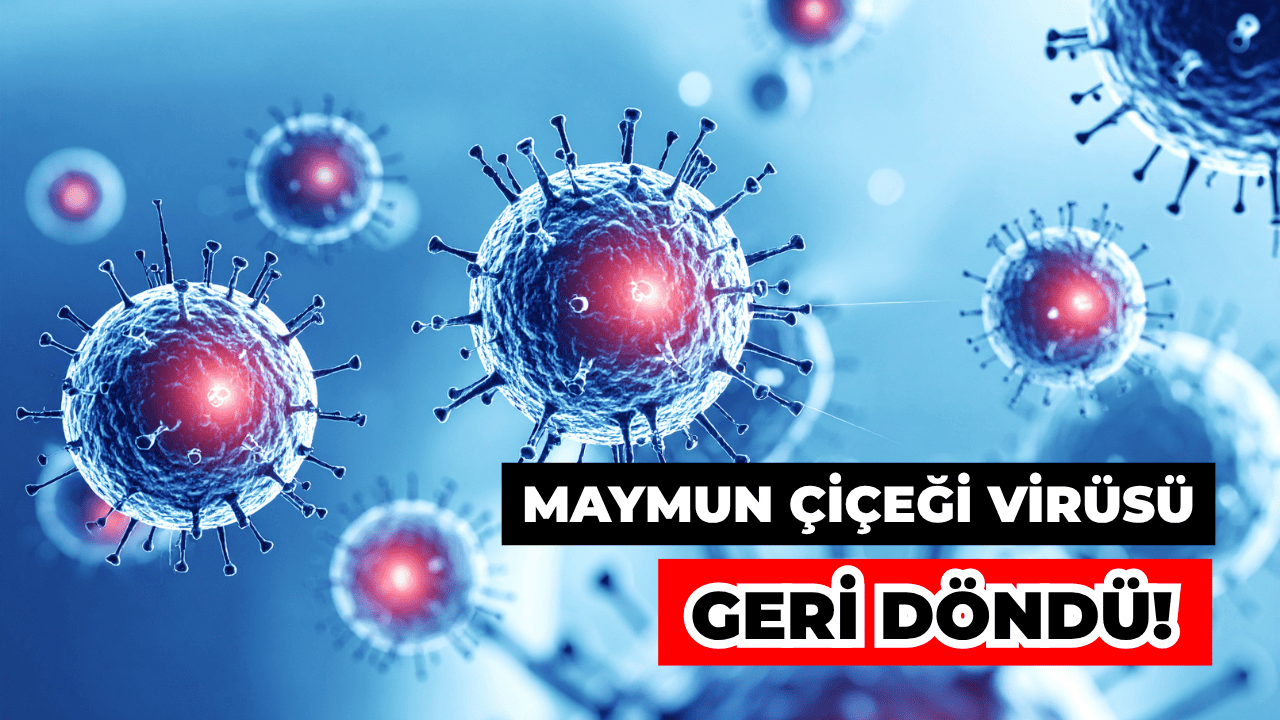 DSÖ: M Çiçeği Virüsünün Yeni Varyantı Küresel Tehdit Olabilir