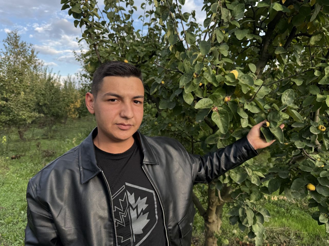 Zirai Don Geyve ve Pamukova’da Ayva Hasadını Vurdu: Verim Sıfıra Düştü - Sayfa 2