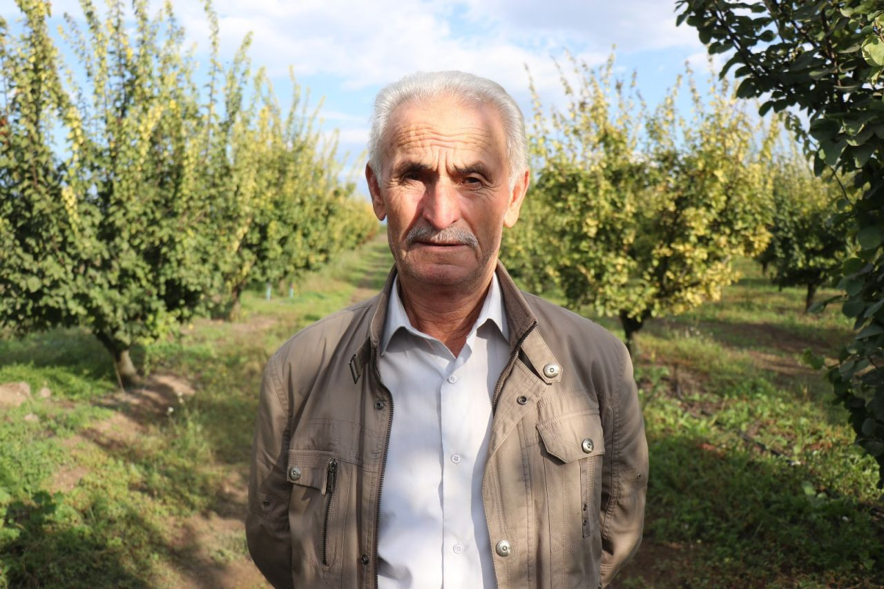 Zirai Don Geyve ve Pamukova’da Ayva Hasadını Vurdu: Verim Sıfıra Düştü - Sayfa 7