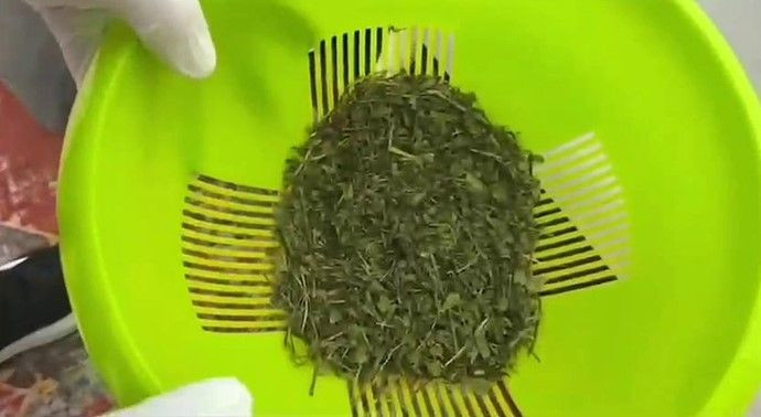 Sakarya'da Narkotik Operasyonu! - Sayfa 2