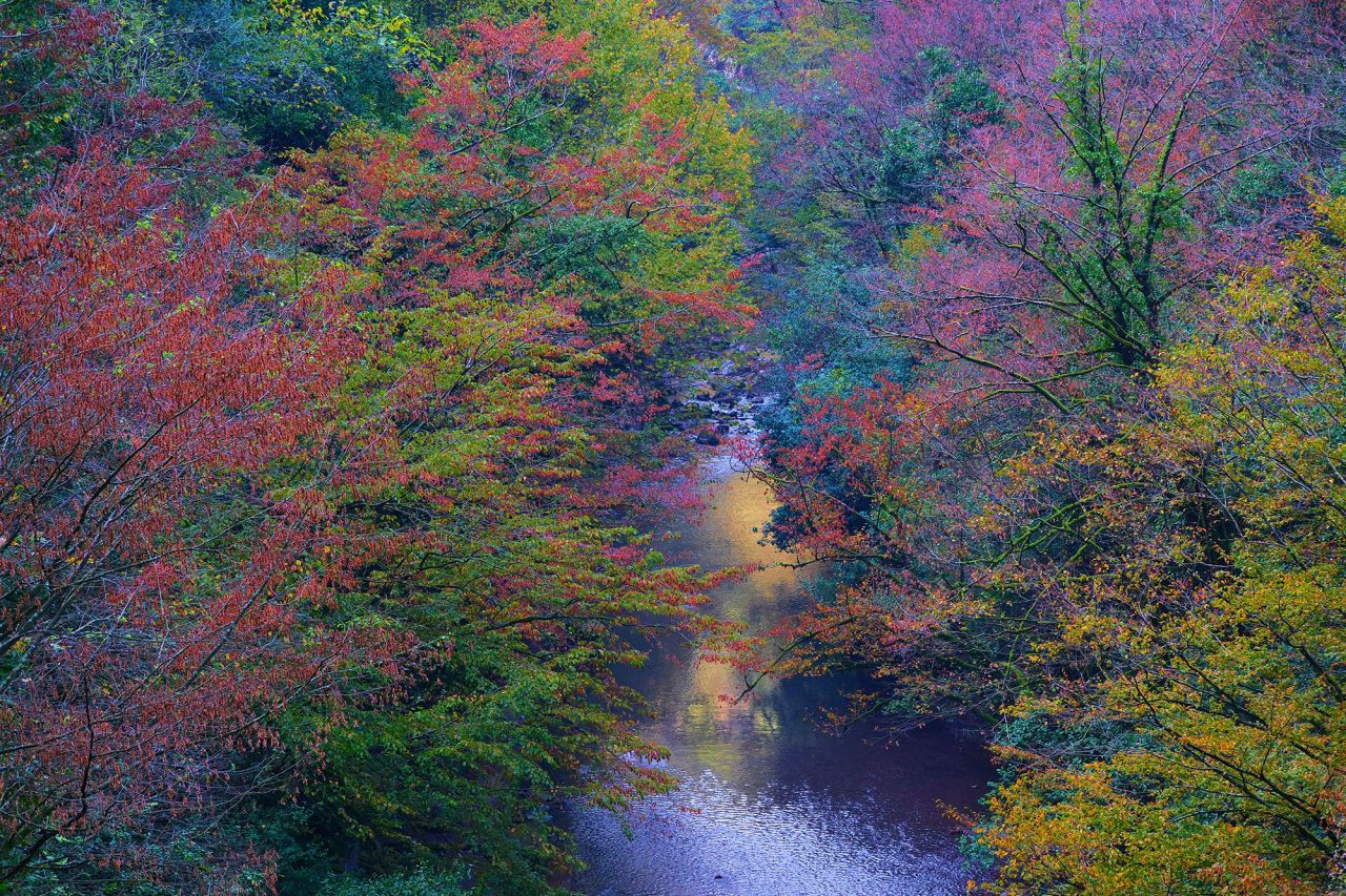 Kuzeyin Tabiat Harikaları Arasında Unutulmaz Bir Sonbahar Yürüyüşü - Sayfa 2