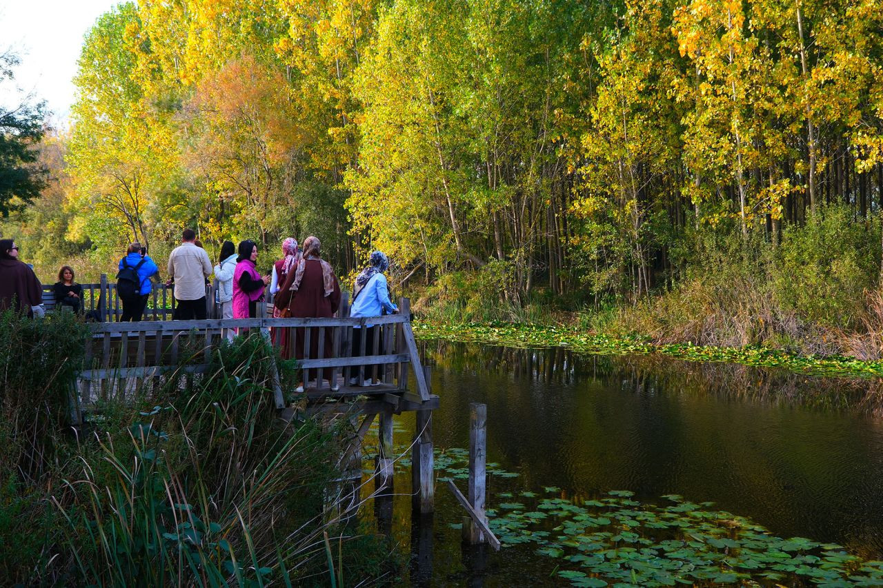 Kuzeyin Tabiat Harikaları Arasında Unutulmaz Bir Sonbahar Yürüyüşü - Sayfa 3
