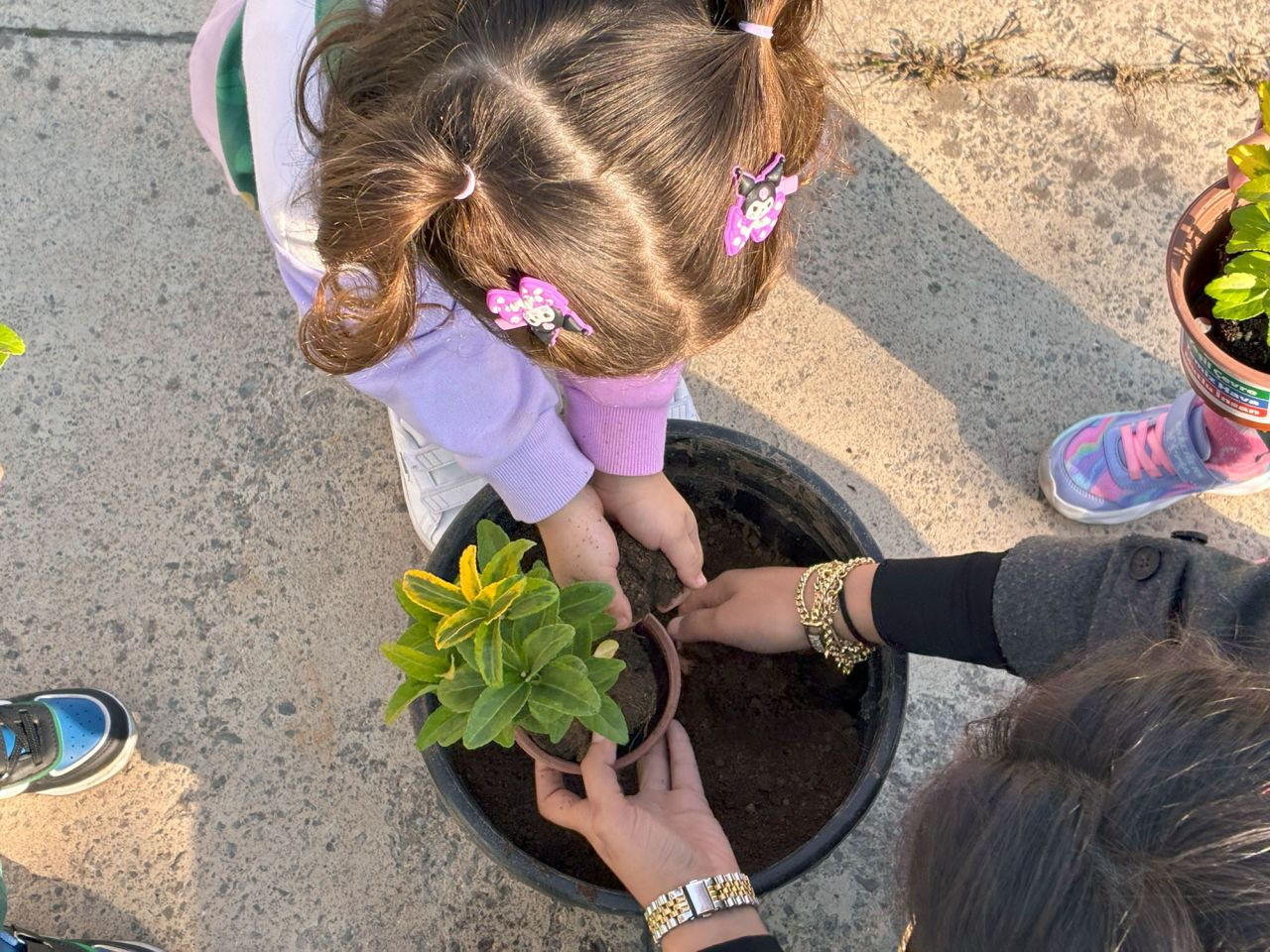 Toprağa Dokunan Minik Eller Sakarya’da Umudu Ekti - Sayfa 1
