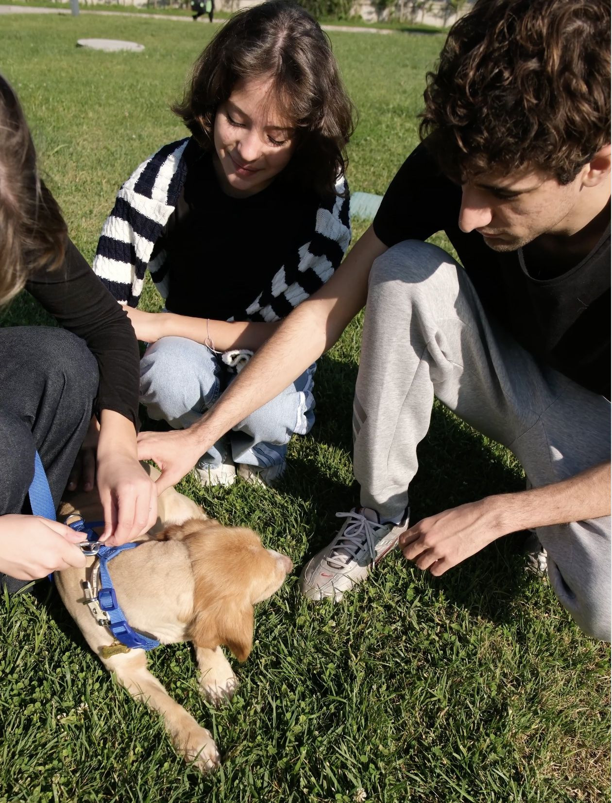 Sakarya’da sevgiyle büyüyen bir başarı hikâyesi… - Sayfa 2