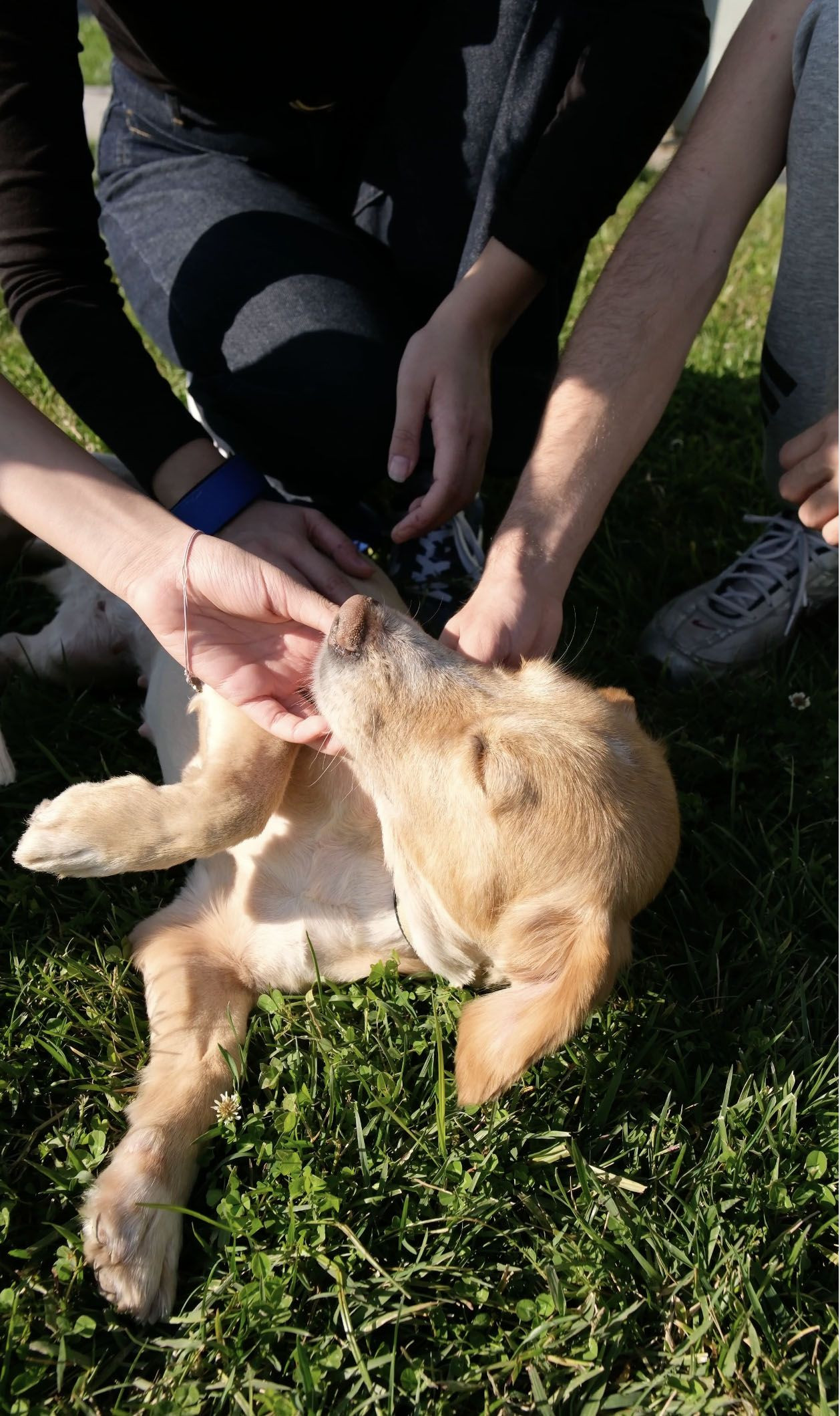 Sakarya’da sevgiyle büyüyen bir başarı hikâyesi… - Sayfa 4