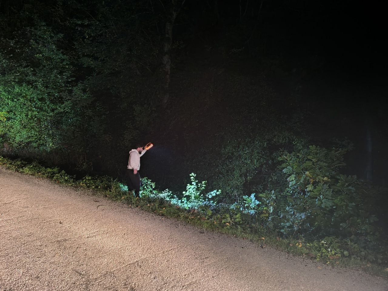 Kastamonu’da Kayıp Anne ve 5 Yaşındaki Oğlu İçin Alarm - Sayfa 3