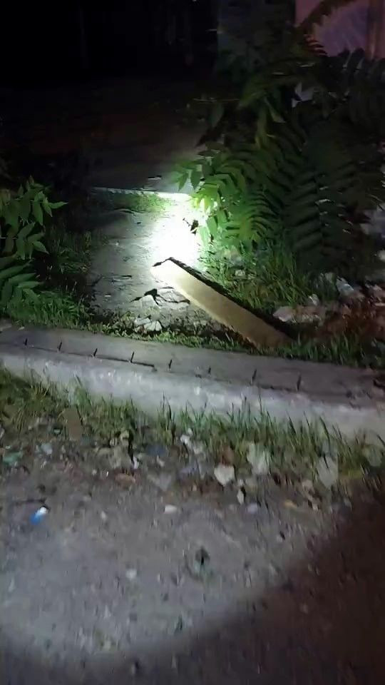 Sakarya’da Metruk Binalarda Uyuşturucu Denetimi - Sayfa 3