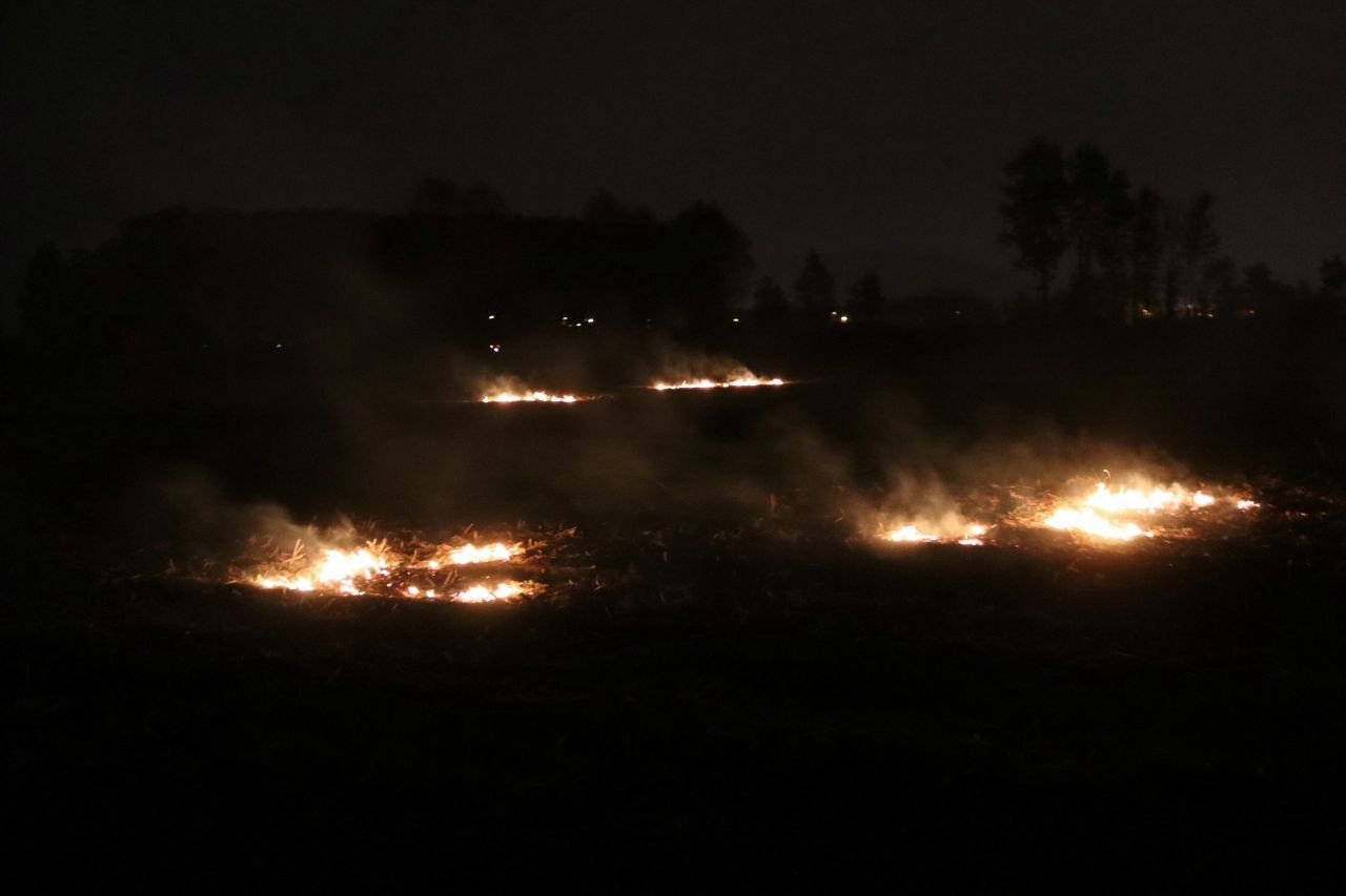Akyazı’da Yasak Dinlemeden Anız Yaktılar - Sayfa 2