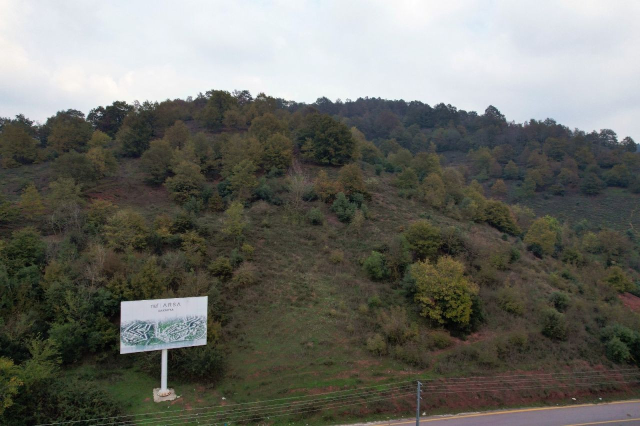 Sakarya'da Nef Arsa Mağduriyeti - Sayfa 2