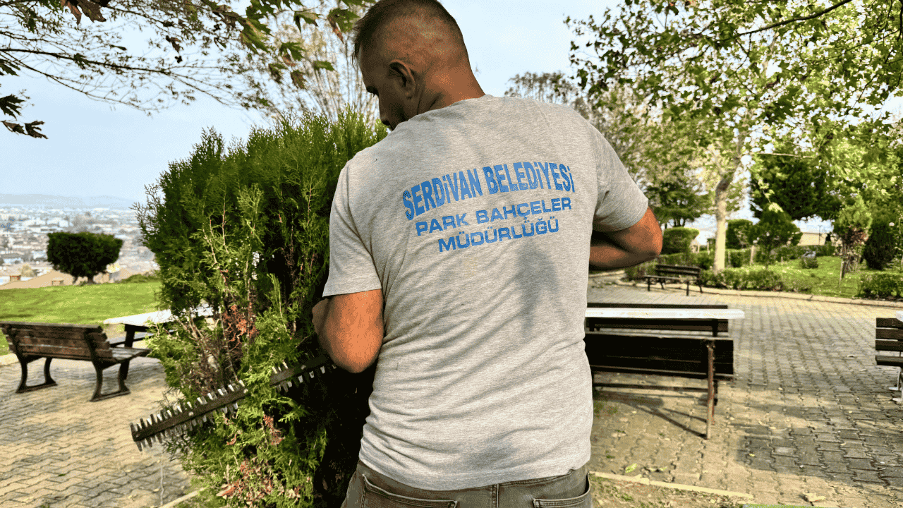 Serdivan'da Yeşil Alan Bakım Çalışması - Sayfa 1