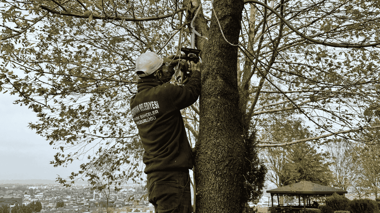 Serdivan'da Yeşil Alan Bakım Çalışması - Sayfa 2