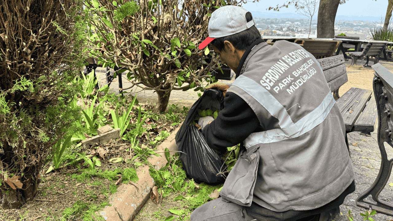 Serdivan'da Yeşil Alan Bakım Çalışması - Sayfa 3