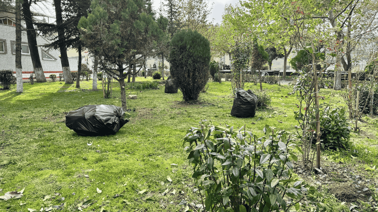 Serdivan'da Yeşil Alan Bakım Çalışması - Sayfa 4
