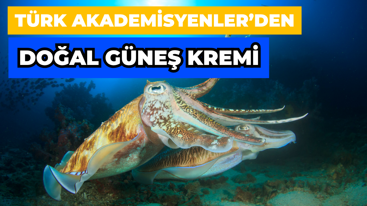 Türk Akademisyenlerden Doğal Güneş Kremi