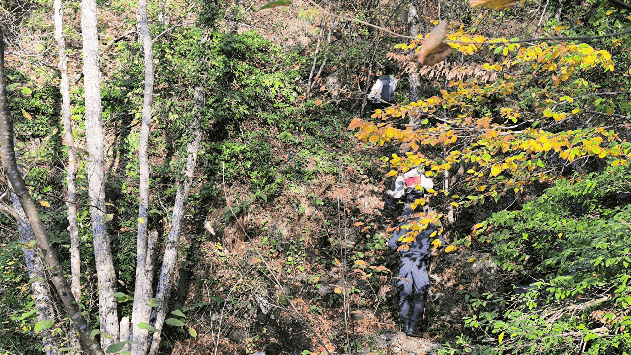 Kayıp Annenin Cesedini Kuzgunu Takip Eden Vatandaşlar Bulmuş - Sayfa 11