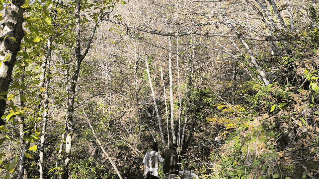 Kayıp Annenin Cesedini Kuzgunu Takip Eden Vatandaşlar Bulmuş - Sayfa 8