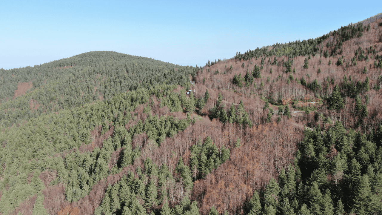 Kayıp Annenin Cesedini Kuzgunu Takip Eden Vatandaşlar Bulmuş - Sayfa 7