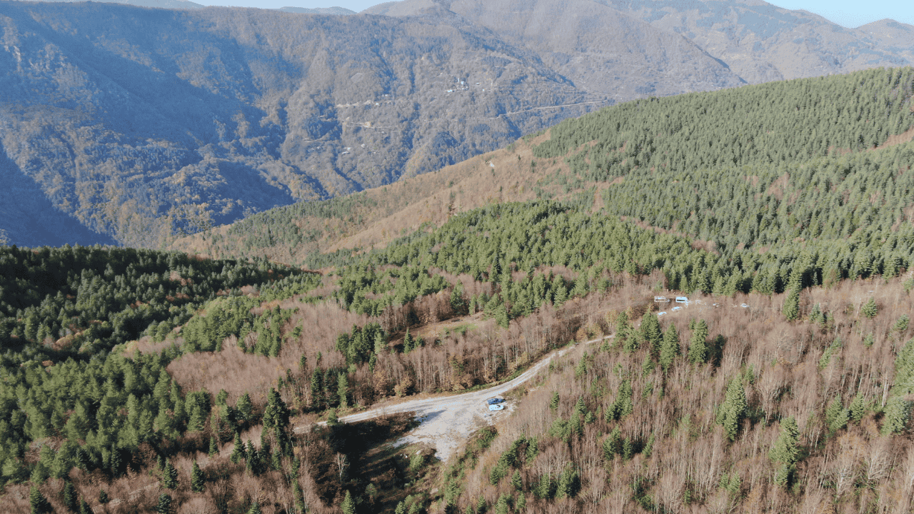 Kayıp Annenin Cesedini Kuzgunu Takip Eden Vatandaşlar Bulmuş - Sayfa 6