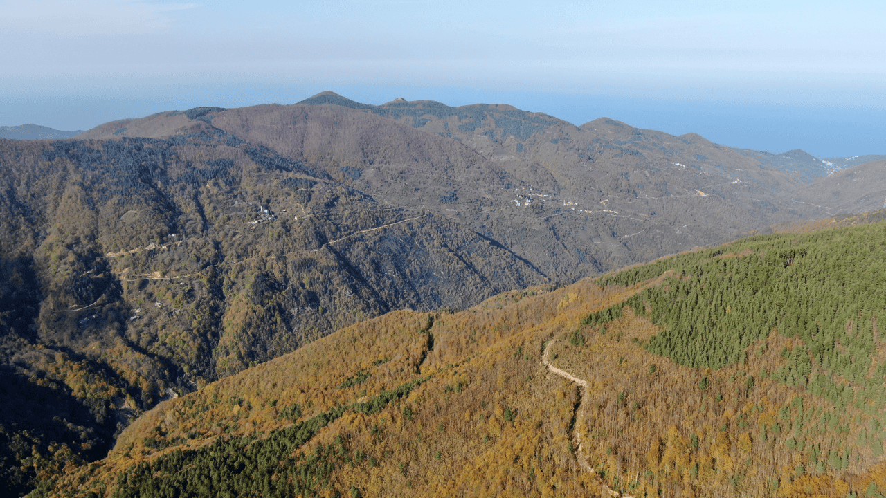 Kayıp Annenin Cesedini Kuzgunu Takip Eden Vatandaşlar Bulmuş - Sayfa 4