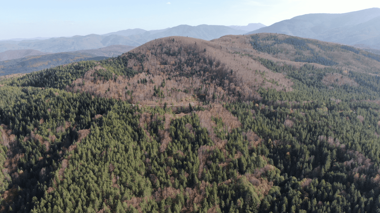Kayıp Annenin Cesedini Kuzgunu Takip Eden Vatandaşlar Bulmuş - Sayfa 3