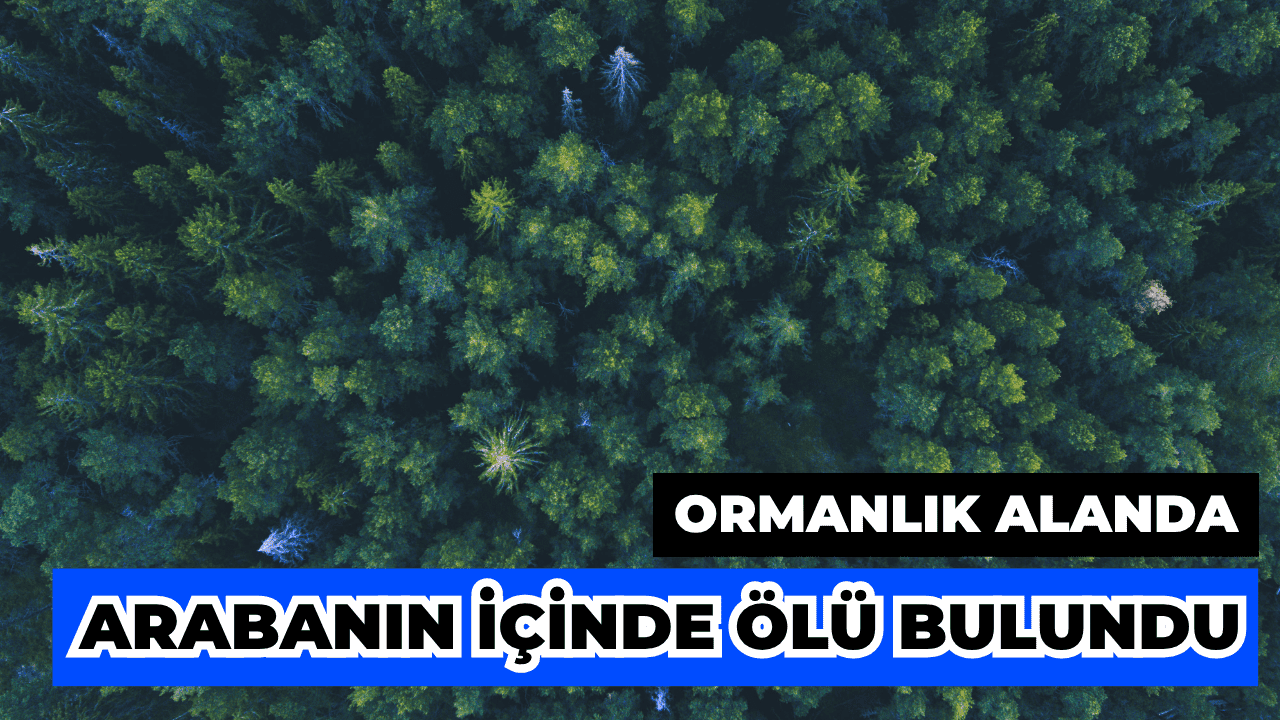 Gürcistan'da Ormanlık Alanda Türk Vatandaşı Ölü Bulundu