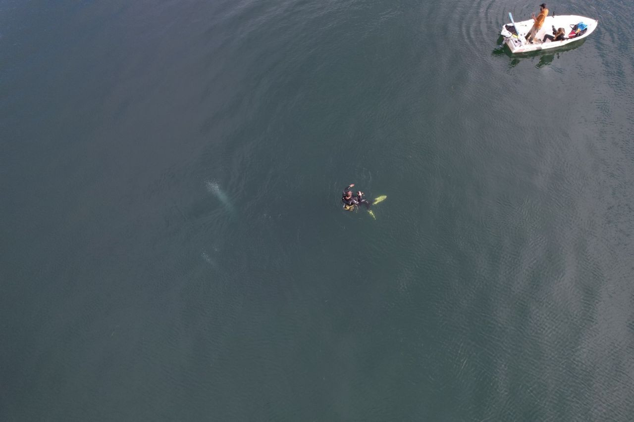 Sapanca Gölü'ndeki Gizemli Kabarcıklar Görüntülendi - Sayfa 3
