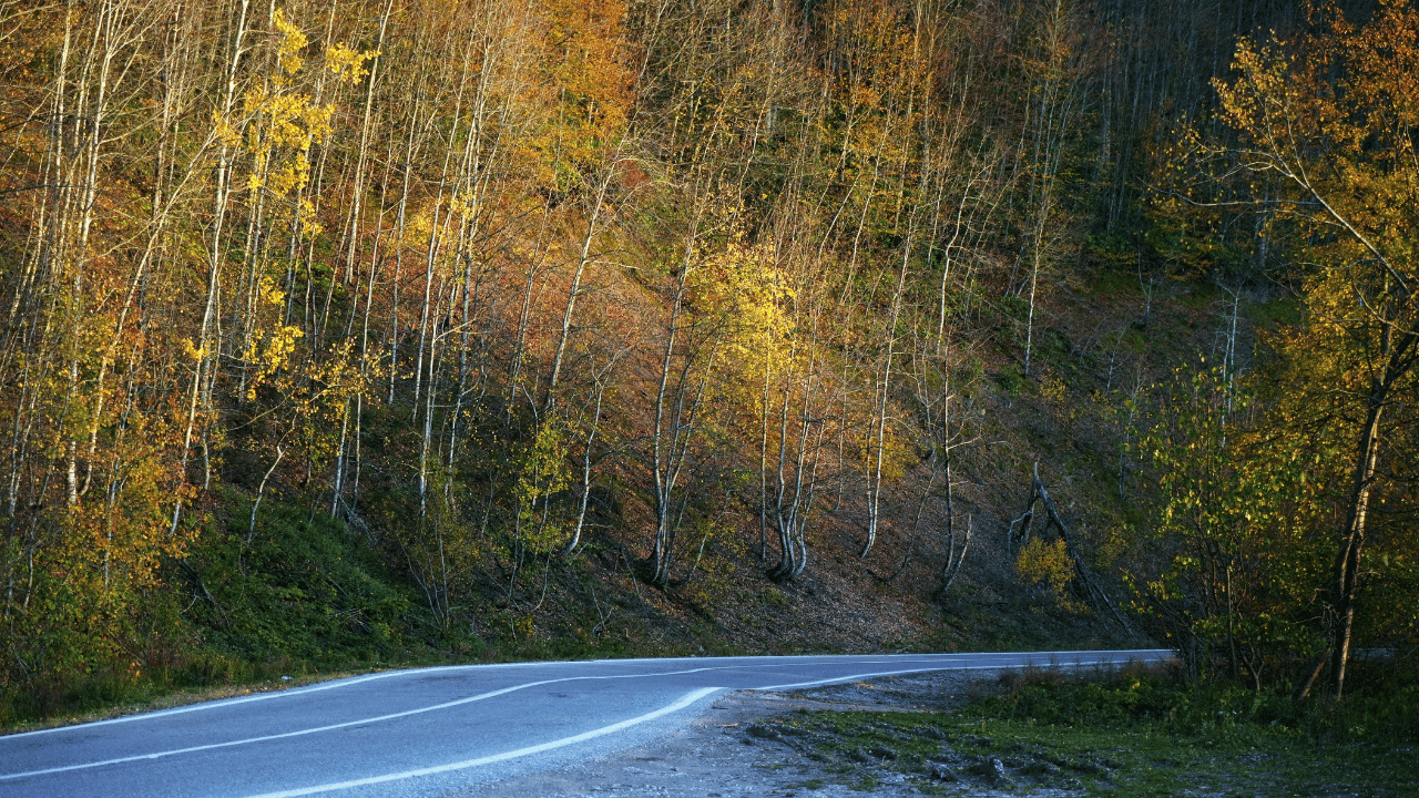 Sonbahar Çam Dağı’nı Renk Cümbüşüne Bürüdü - Sayfa 1