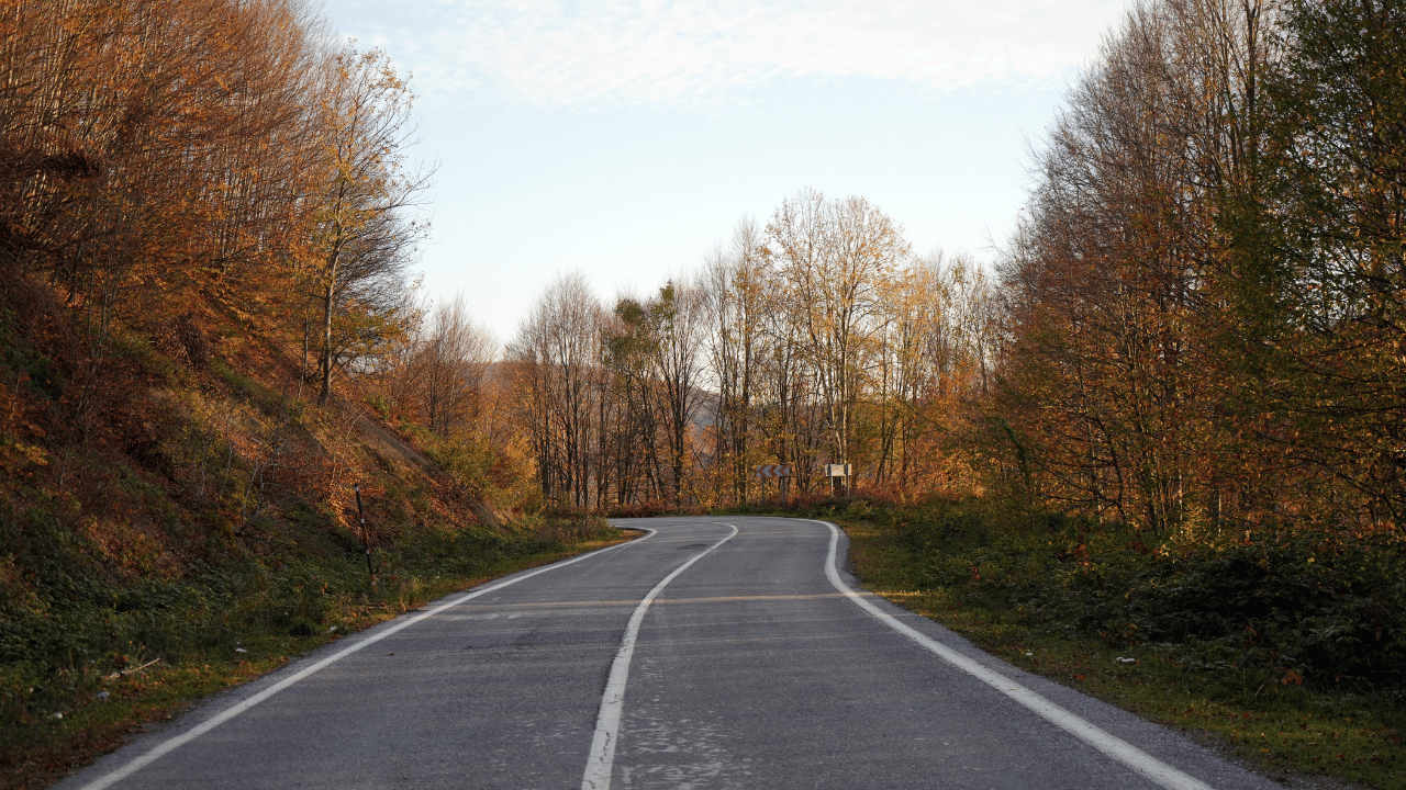 Sonbahar Çam Dağı’nı Renk Cümbüşüne Bürüdü - Sayfa 2