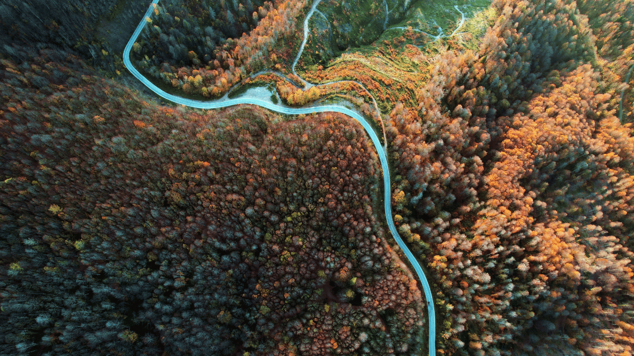 Sonbahar Çam Dağı’nı Renk Cümbüşüne Bürüdü - Sayfa 3