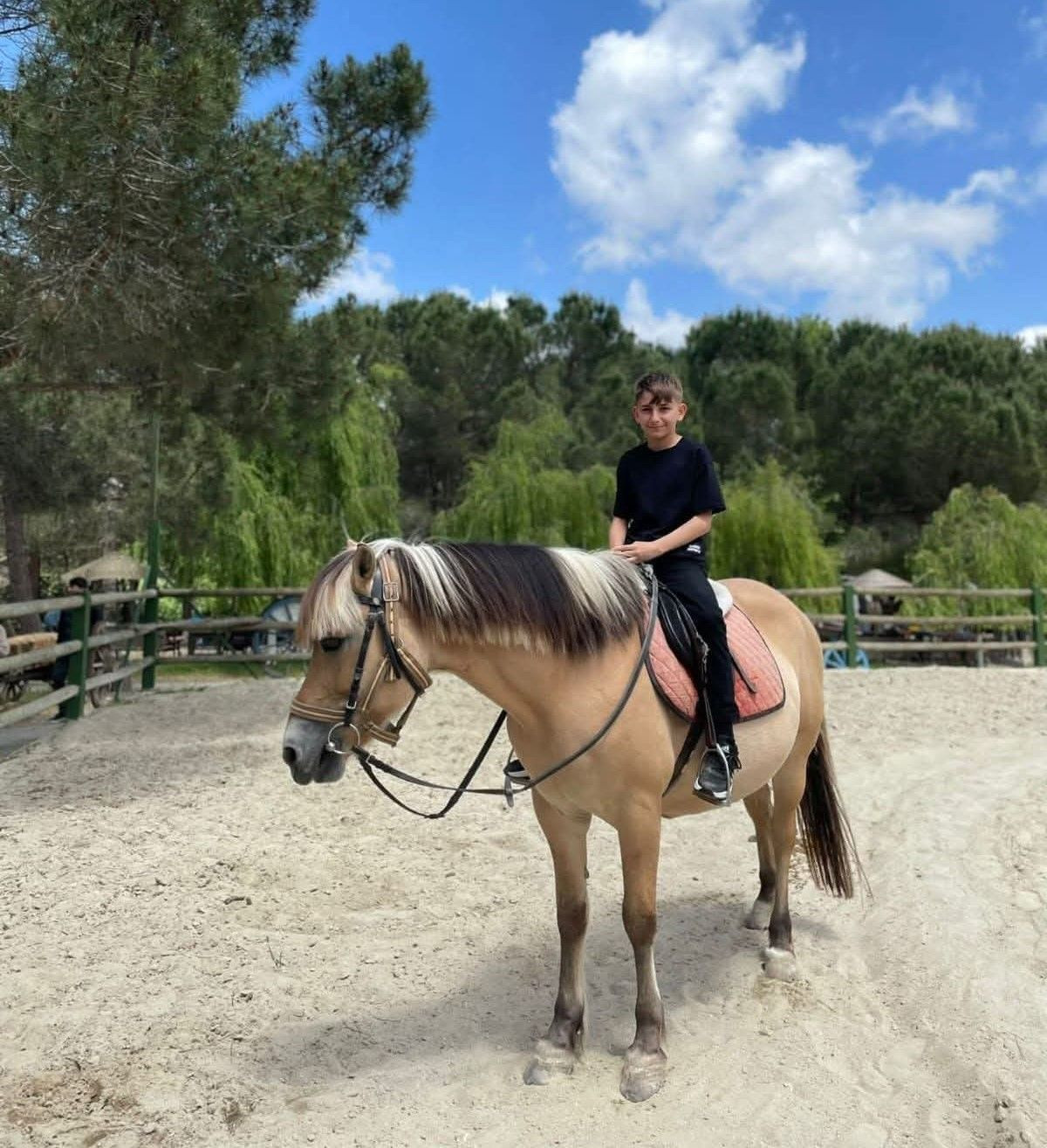 13 Yaşındaki Eren’in Şüpheli Ölümü: Döner İddiası Araştırılıyor - Sayfa 2