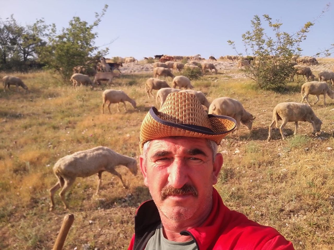 Edirne'de Çoban Krizi: Aylık 50 Bin TL Maaş Bile Çözüm Olmadı - Sayfa 2